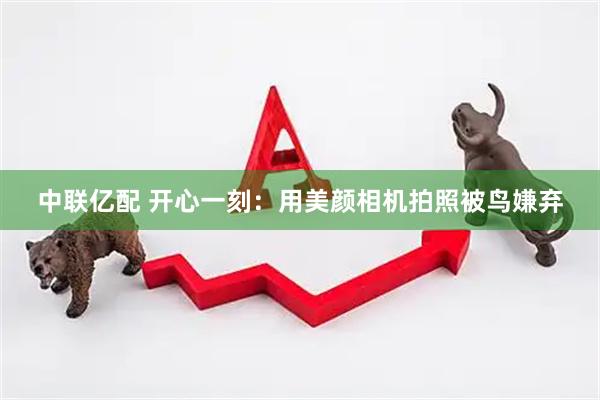 中联亿配 开心一刻：用美颜相机拍照被鸟嫌弃