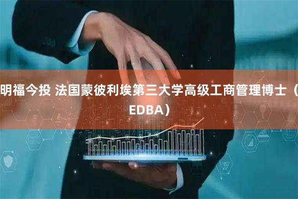明福今投 法国蒙彼利埃第三大学高级工商管理博士（EDBA）